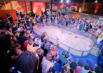 Museu de Arte Moderna do Rio recebe festival de cultura digital