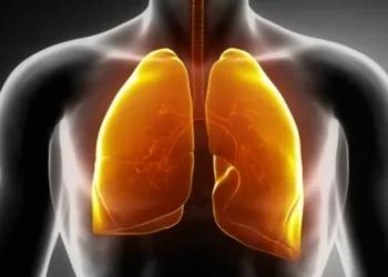 Quer respirar melhor? Então coma os alimentos certos