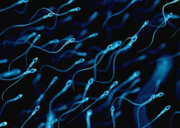 Espermatozoides acumulam alterações ligadas a doenças em filhos de pais mais velhos