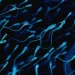 Espermatozoides acumulam alterações ligadas a doenças em filhos de pais mais velhos
