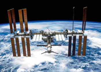 Musgo sobrevive por nove meses preso no lado de fora da Estação Espacial Internacional