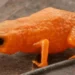 Nova espécie de sapo laranja vibrante é identificada em Santa Catarina