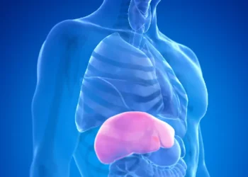 Gordura no fígado: cinco alimentos para priorizar na dieta e quatro para evitar