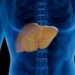 Nem o álcool nem os vírus por trás da hepatite: saiba qual é o maior inimigo do fígado