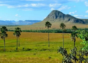 ONG de SP poderá captar R$ 10 milhões, via Lei Rouanet, para projeto na Chapada dos Veadeiros
