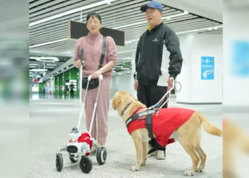 China testa “cão-guia robô” em estação de metrô