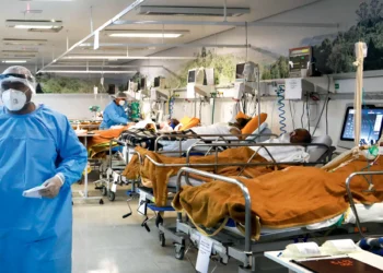 Nipah, ebola, raiva… Os vírus mais letais nem sempre são os que representam maior ameaça em nível global