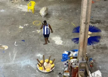 Carnavalesco da Portela pede demissão menos de 24h após desfile trágico