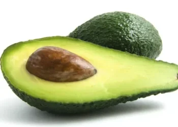 Abacate confirma vocação para baixar o colesterol ruim; saiba quanto comer