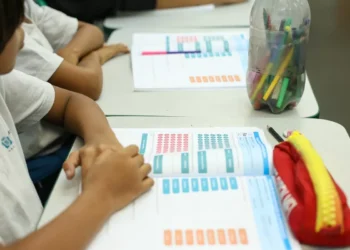 Censo registra queda de 1 milhão de matrículas na educação básica