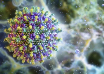 Vírus Nipah: novo caso, que resultou em morte, é registrado em Bangladesh