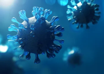 A lista de ‘procurados’ da OMS: quem são os vírus que mais preocupam as autoridades globais