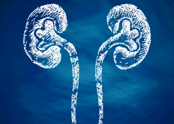 Pedras nos rins: problema pode ser silencioso e se agravar nesta época